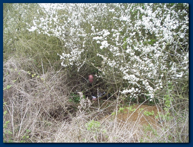 600x449 pixels (229K)